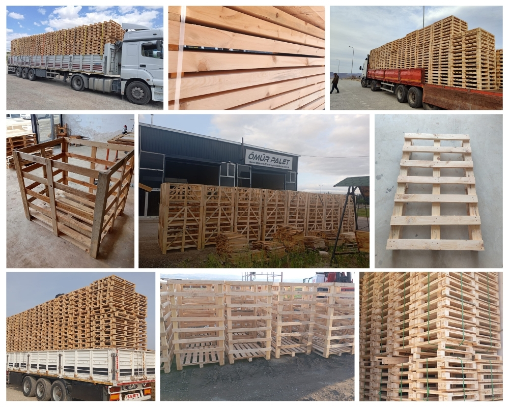 Widen Europaletten, Europaletten im Großhandel kaufen